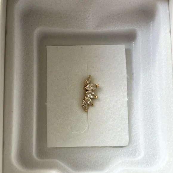 Piercing Pagoda Cartilage Earring - Picture 1 of 2